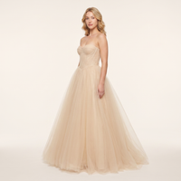 Noor Tulle Ball Gown – Champagne view 3