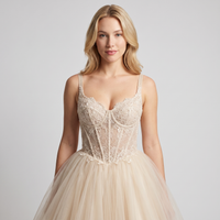 Cressida Tulle Corset Ball Gown – Champagne view 5