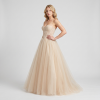 Cressida Tulle Corset Ball Gown – Champagne view 2