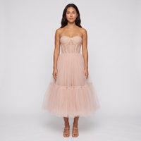 Ada Tulle Corset Midi Dress – Blush view 1